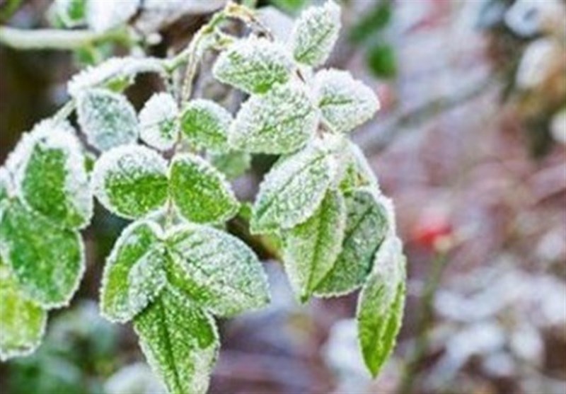 کاهش ۱۰ درجهای دما در تهران از شنبه