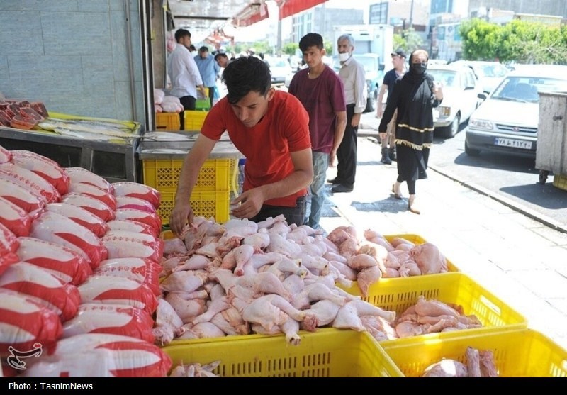 چرا مرغ گران شد؟/کاهش ۶ درصدی واردات نهاده در سال جدید