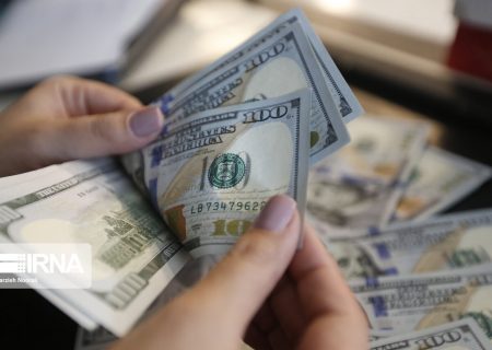 ارز دولتی فقط برای کالاهای اساسی/ بانک مرکزی از قیمت گذاری بپرهیزد