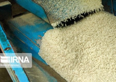 قیمت برنج ایرانی بدون تغییر/ کشاورزان از عرضه عقب‌نشینی کردند