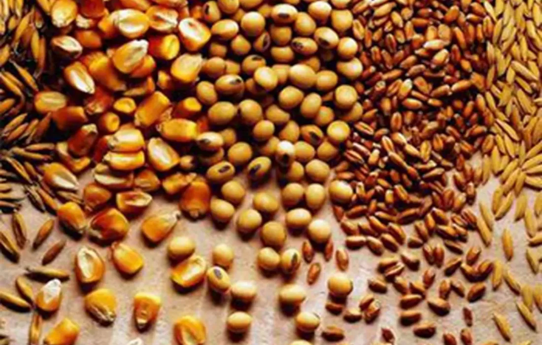 خودتحریمی جدیتر از تحریم