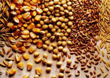 خودتحریمی جدی‌تر از تحریم