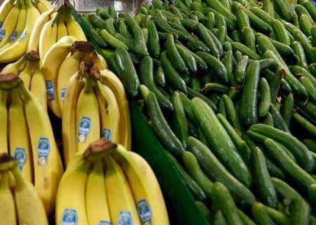 صادرات یکی از عوامل گرانی خیار در بازار