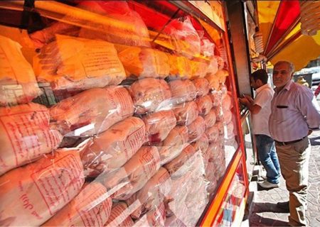 تولید مرغ به روال عادی برگشت