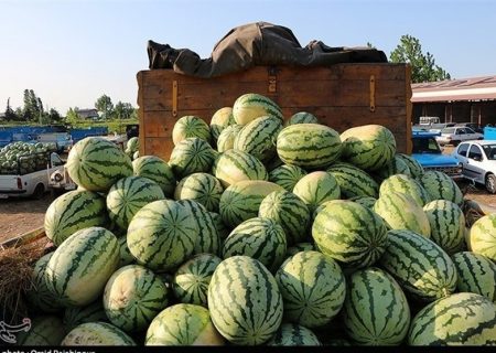 ممنوعیت‌ ناگهانی واردات ۴۵ محصول کشاورزی به عراق و اقلیم + فهرست