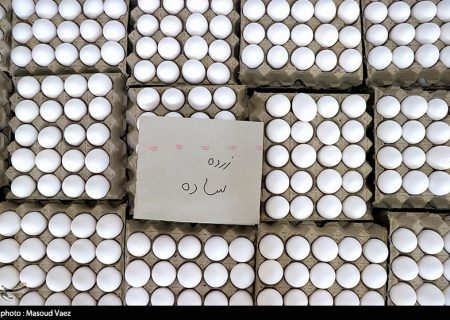 قیمت جدید تخم مرغ کیلویی ۷۷ هزار تومان درب مرغداری اعلام شد