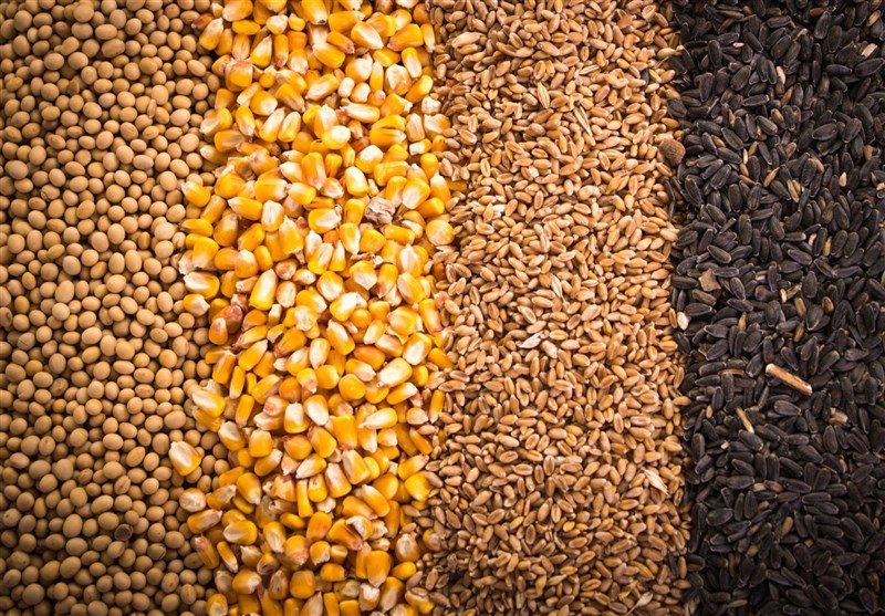 مهلت ۳ روزه بازرگانان برای ابطال ثبتسفارش های راکد نهادههای دامی