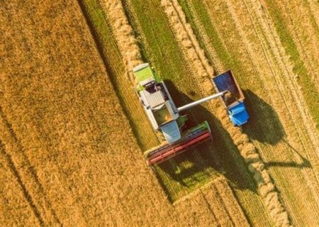 یک پنجم حق بیمه سهم گندمکاران واریز شد