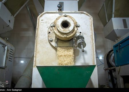 لغو ممنوعیت واردات برنج در فصل برداشت