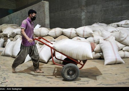 سیاست‌های غلط دولتی بازار برنج را متلاطم کرد