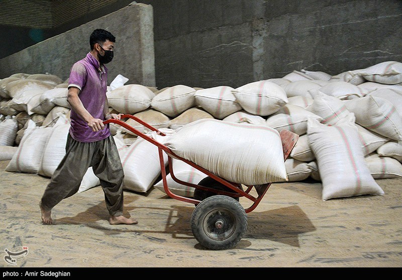 سیاستهای غلط دولتی بازار برنج را متلاطم کرد
