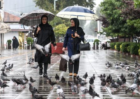 رگبار باران در شمال و جنوب شرق کشور 
