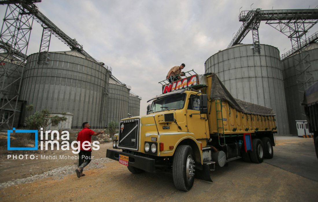 واردات حبوبات و گندم از اتحادیه اوراسیا با تعرفه صفر امکانپذیر شد