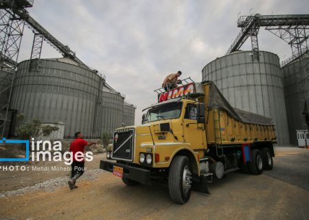 واردات حبوبات و گندم از اتحادیه اوراسیا با تعرفه صفر امکان‌پذیر شد