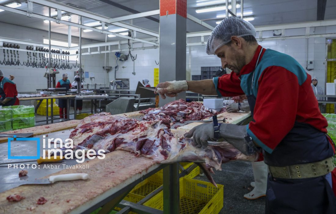 آغاز واردات و عرضه گوشت تازه با استفاده از ارز مبادله ای