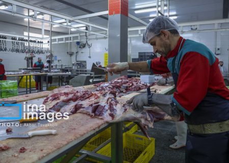 آغاز واردات و عرضه گوشت تازه با استفاده از ارز مبادله ای