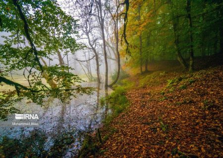 پاییز کم‌بارش و زمستان گرم در پیش است