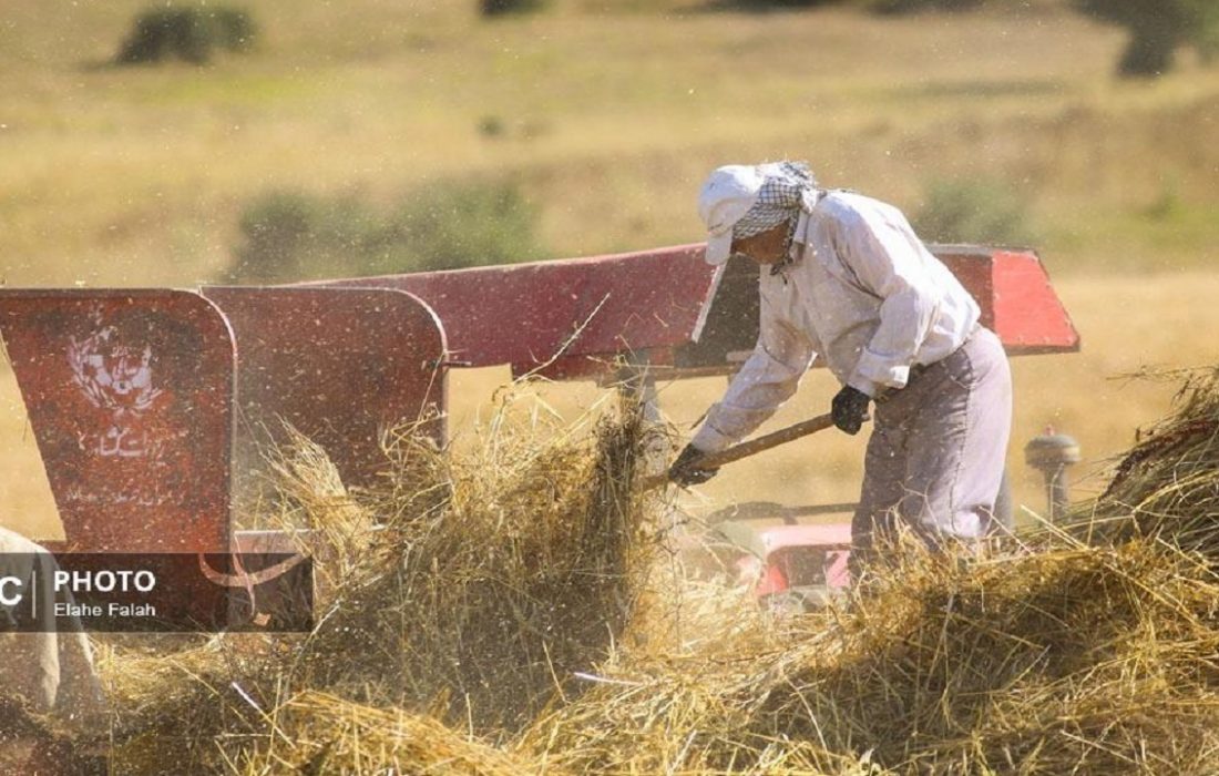 قیمت خرید تضمینی گندم نباید از ۳۰ هزار و ۵۰۰ تومان کمتر باشد