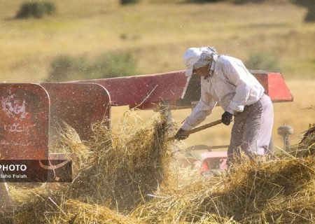 قیمت خرید تضمینی گندم نباید از ۳۰ هزار و ۵۰۰ تومان کمتر باشد