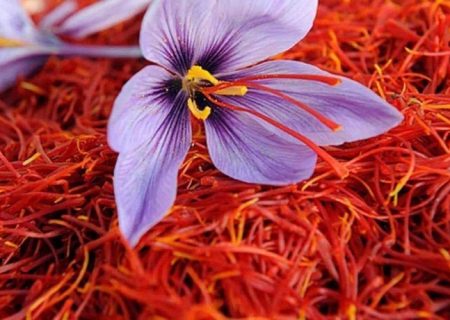 معامله ۶۴۱ تن زعفران در بازار گواهی سپرده بورس کالا