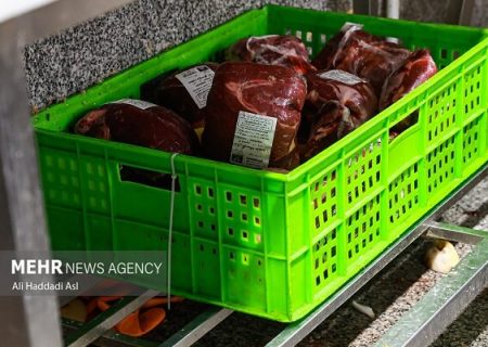 گوشت گوساله تنظیم بازاری کیلویی ۸۰۹ هزار تومان عرضه شد