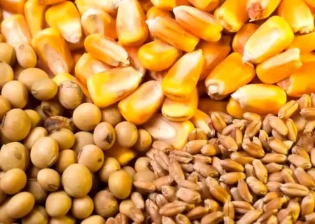 ضوابط جدید واردات نهاده‌های دامی اعلام شد