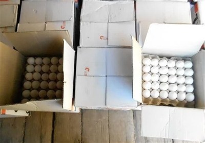 خرید حمایتی تخم‌مرغ به‌قیمت ۷۹هزار تومان از مرغداران