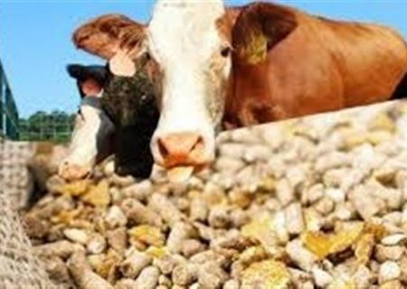 برخی افراد خاص ارز می‌گیرند و خالی فروشی می‌کنند