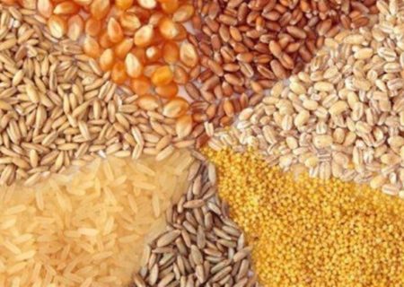 بازرگاه قفل شد/اقدامات انجام شده برای رفع بحران نهاده موثر نیست