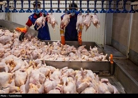 گرانی مرغ از کجا می‌آید؟ تامین فقط ۳۶ درصد هزینه تولید با ارز ۲۸۵۰۰