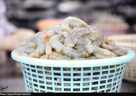 صادرات سالانه شیلات به ۷۰۰ میلیون دلار رسید