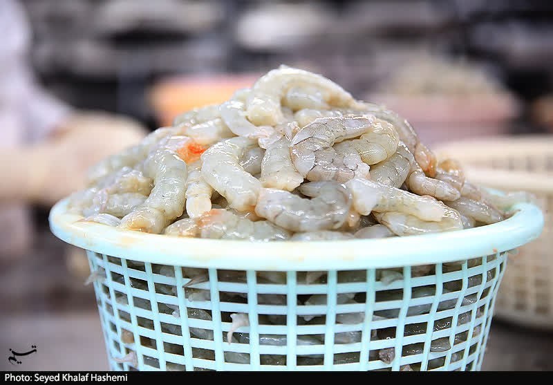 صادرات سالانه شیلات به ۷۰۰ میلیون دلار رسید