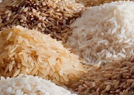 رونمایی از دو رقم برنج، که قبلاً رونمایی شده!