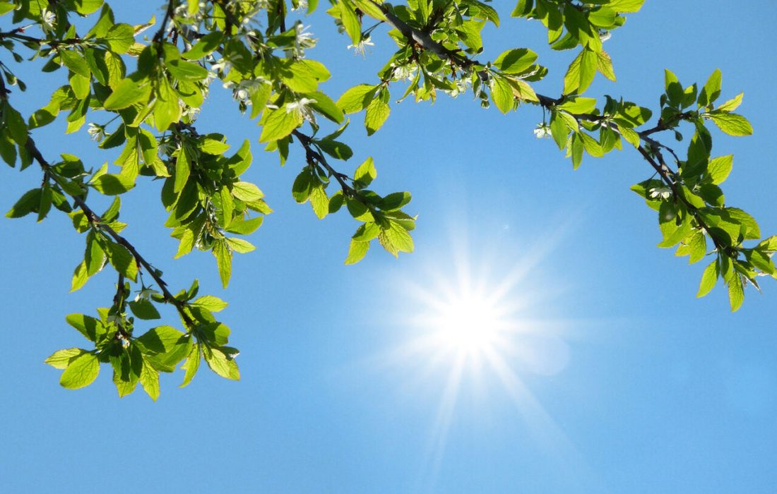 جو پایدار در اغلب مناطق کشور