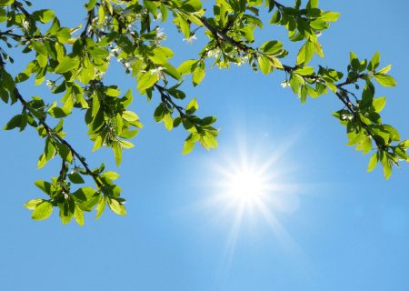 جو پایدار در اغلب مناطق کشور