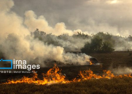 تلاش گسترده برای مهار آتش‌سوزی‌های جنگل الیت/ اعزام هواپیماهای ایلوشن و همکاری بین‌المللی
