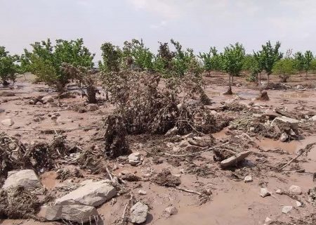 ۱.۵ همت غرامت به کشاورزان خسارت دیده پرداخت شد