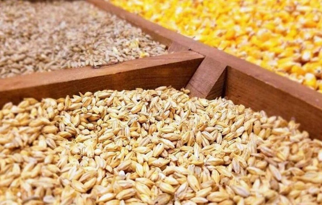 نهاده به میزان کافی در بنادر موجود است