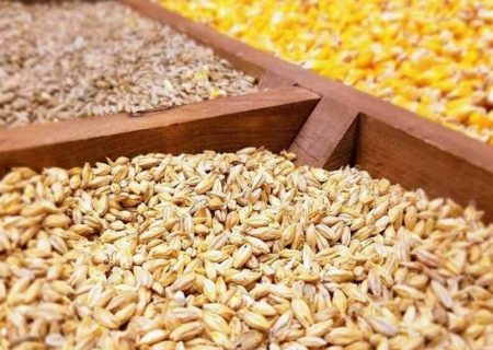 نهاده به میزان کافی در بنادر موجود است