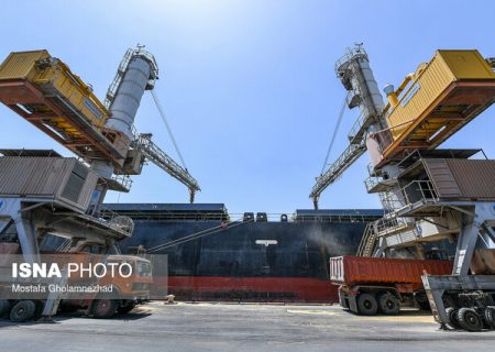 فریاد مرغداران شنیده شد؛ تخصیص ۷۰ هزار تن ذرت طی ۲۴ ساعت آینده