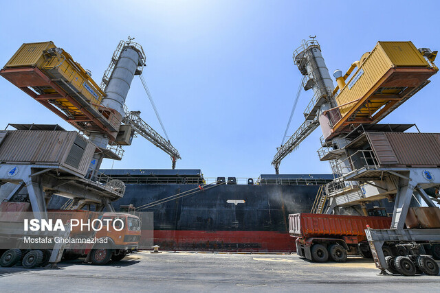 فریاد مرغداران شنیده شد؛ تخصیص ۷۰ هزار تن ذرت طی ۲۴ ساعت آینده