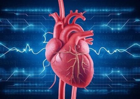 ابتلای ۶۰۰ هزار ایرانی به نارسایی قلبی/افزایش ابتلا با پیری جمعیت رابطه مستقیم دارد