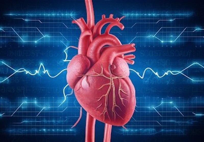 ابتلای ۶۰۰ هزار ایرانی به نارسایی قلبی/افزایش ابتلا با پیری جمعیت رابطه مستقیم دارد