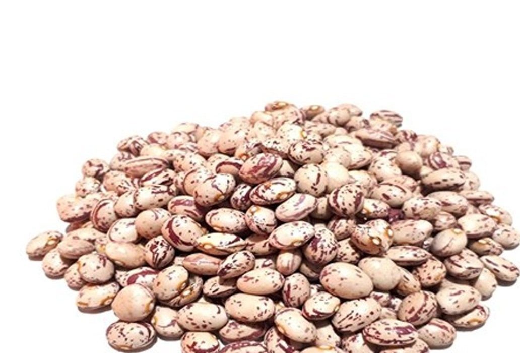 رشد ۲۷ برابری قیمت لوبیا چیتی در ۶ سال