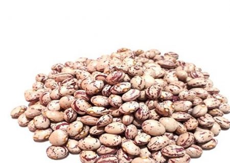 رشد ۲۷ برابری قیمت لوبیا چیتی در ۶ سال