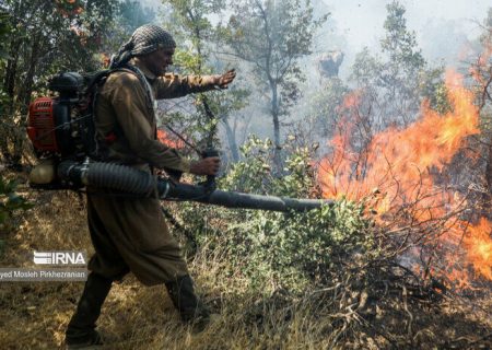 گزارش مجلس درباره آتش سوزی جنگل‌های الیت غیرکارشناسی است