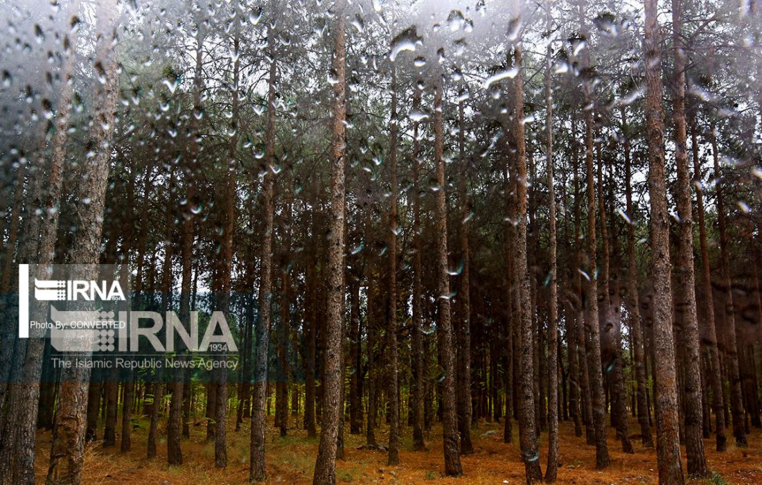 هشدار بارش باران شدید و برف و کاهش محسوس دما